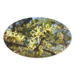 Witch Hazel Flowers Oval Sticker