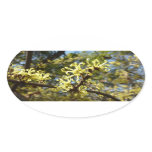 Witch Hazel Flowers Oval Sticker