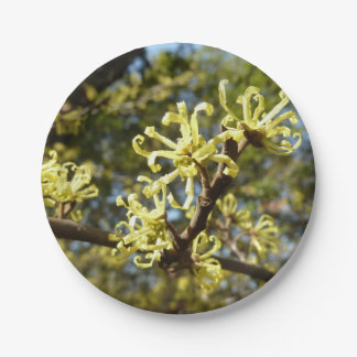 Witch Hazel Flowers Paper Plates