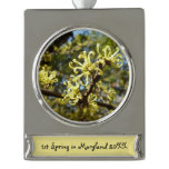 Witch Hazel Flowers Silver Plated Banner Ornament