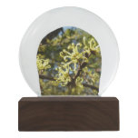 Witch Hazel Flowers Snow Globe