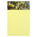 Witch Hazel Flowers Stationery