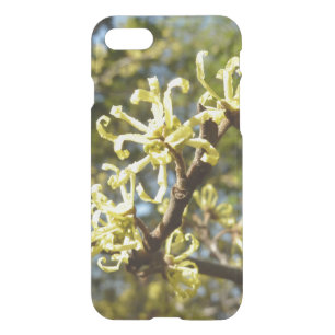 Witch Hazel Flowers iPhone SE/8/7 Case