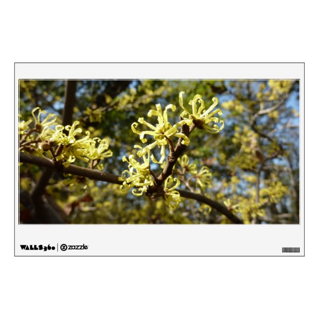 Witch Hazel Flowers Wall Sticker (Front)
