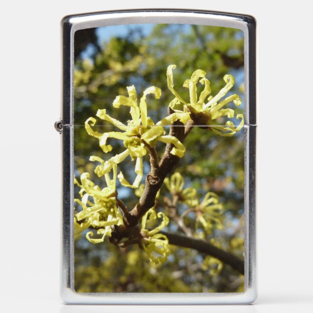 Witch Hazel Flowers Zippo Lighter (Front)