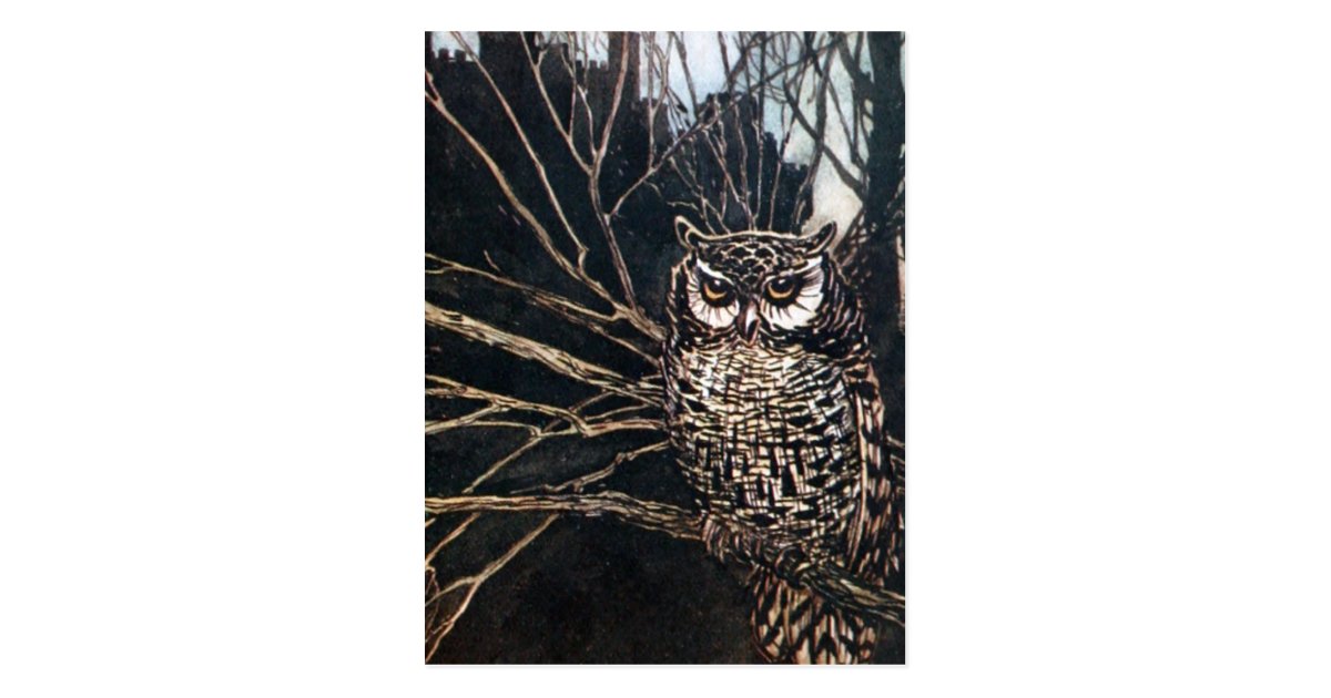 Witch in Owl Form Postcard | Zazzle.com