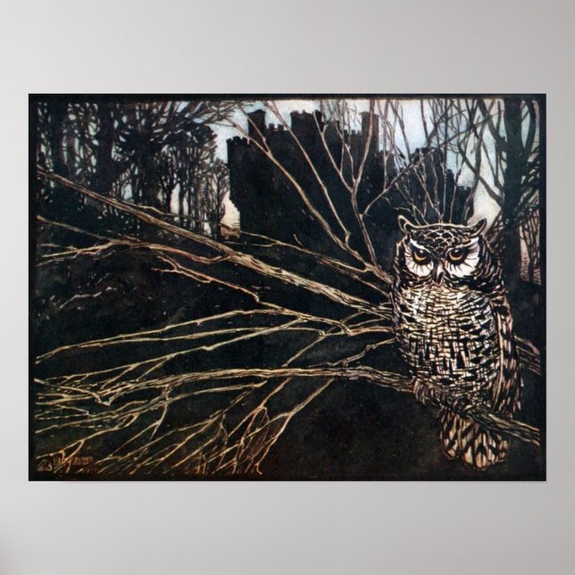 Witch in Owl Form Poster (Front)