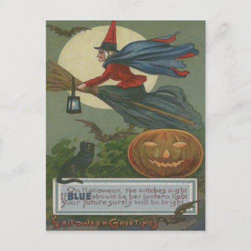 Witch Jack O Lantern Black Cat Full Moon Postcard