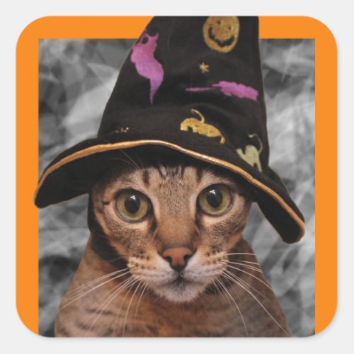 Witch Kitty Square Sticker