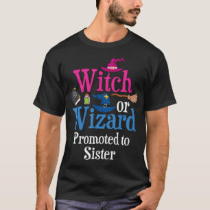 Witch Or Wizard Promoted To Sister Loves You Gende T-Shirt