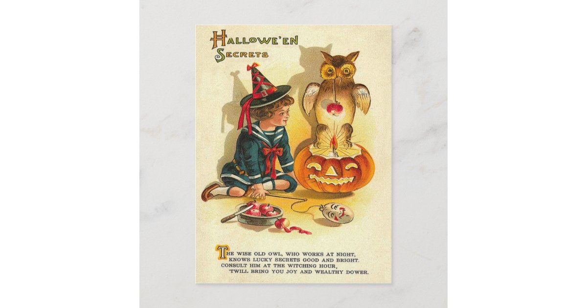 Witch Owl Jack O Lantern Pumpkin Postcard | Zazzle
