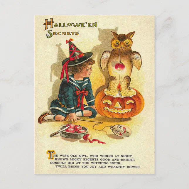 Witch Owl Jack O Lantern Pumpkin Postcard | Zazzle