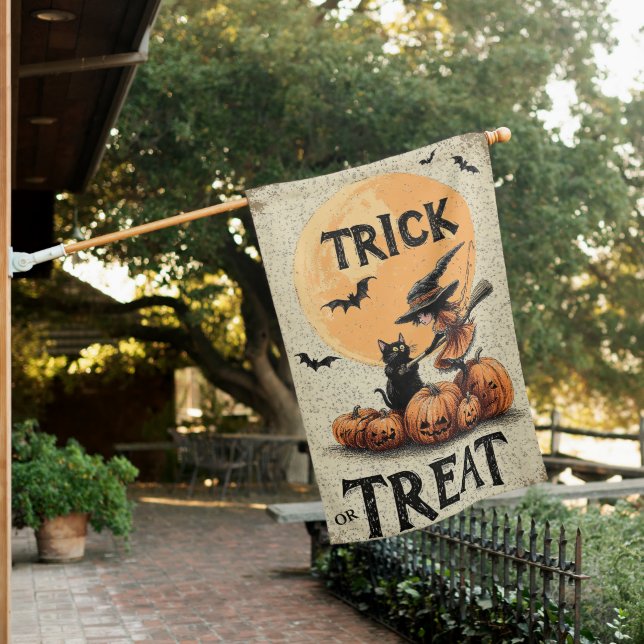 Witch’s Companion House Flag (In SItu)