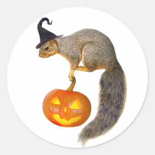 Witch Squirrel Jack-o-Lantern Sticker