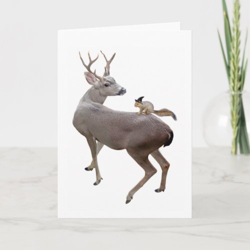 Witch Squirrel on Deer Card