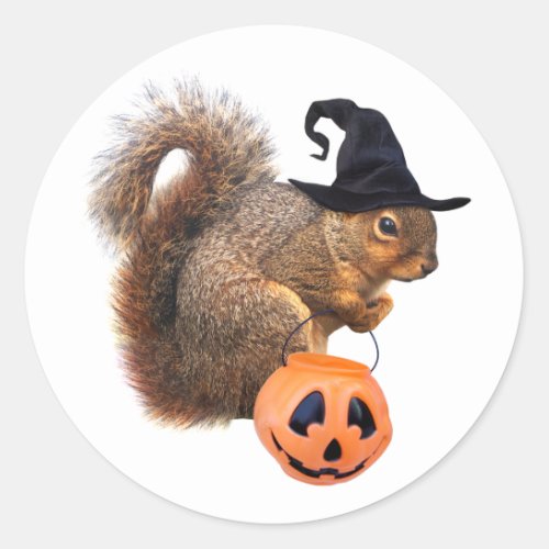 Witch Squirrel Trick_or_Treat Sticker