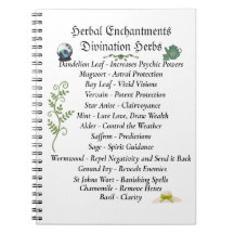 Witchcraft Book Of Shadows Journal 