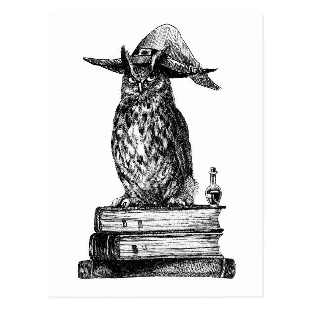 Witchcraft Owl Halloween Magic Postcard