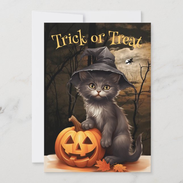 Witches Cat and Pumpkin Halloween Party Invitation (Front)