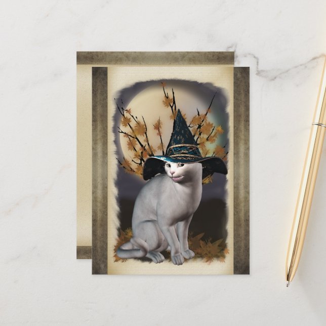 Witches Cat Postcard (Front/Back In Situ)