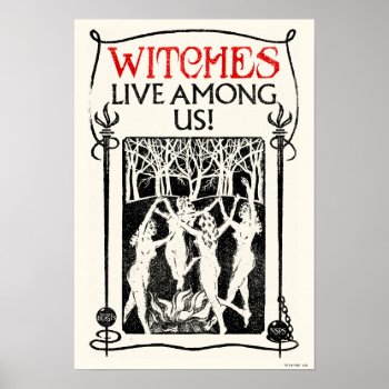 Witches Live Among Us Poster by fantasticbeasts at Zazzle