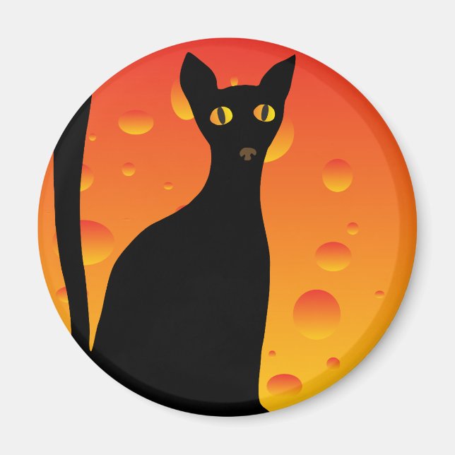witch's cat&moon magnet (Front)