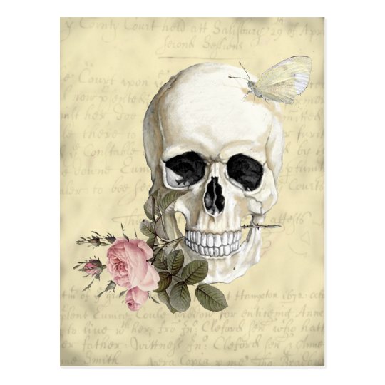 With a rose between my teeth postcard | Zazzle.com