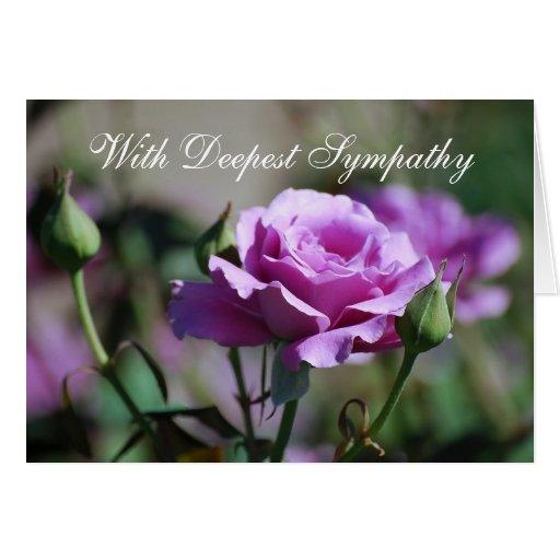 With Deepest Sympathy Blank Lavender Rose Card | Zazzle