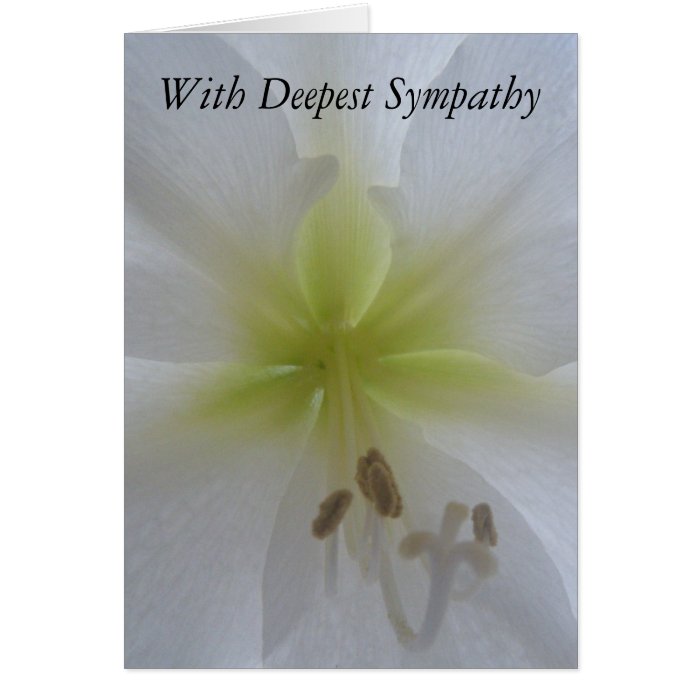 With Deepest Sympathy cards