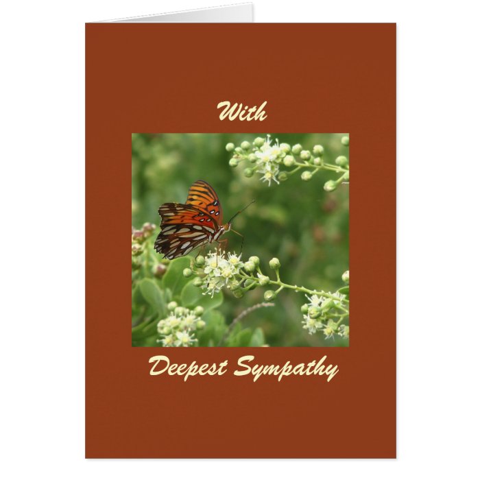 With Deepest Sympathy, Orange Butterfly Cards