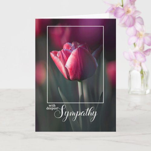 With Deepest Sympathy Rich Pink Tulip