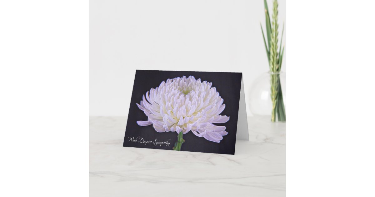 White Floral Deepest Sympathy Postcard, Zazzle