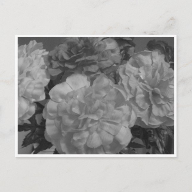 "...With love from me, to you..." Postcard (Front)