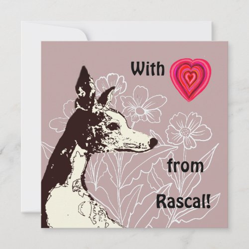 With love from your Whippet