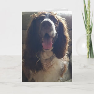 With love greetings card