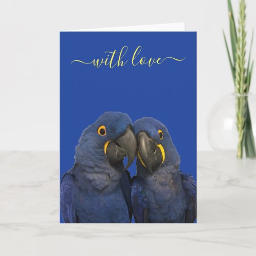 With Love Hyacinth Macaw Parrot Bird Blue Card