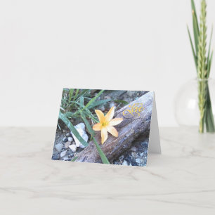 With Love Yellow Flower Blank Greeting Card