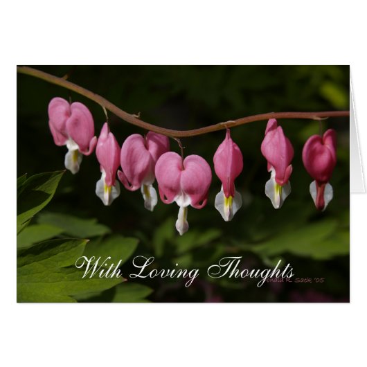 With Loving Thoughts Cards (Front Horizontal)