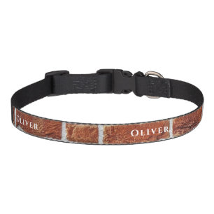 With name pet collar