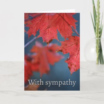 With Sympathy Card by Rebecca_Reeder at Zazzle