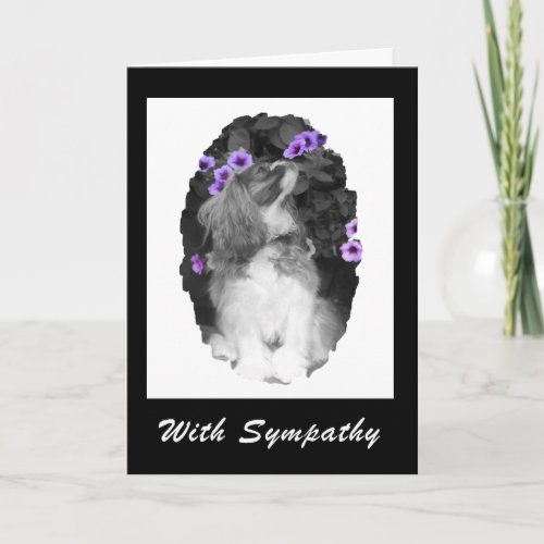 With Sympathy Cavalier King Charles Card