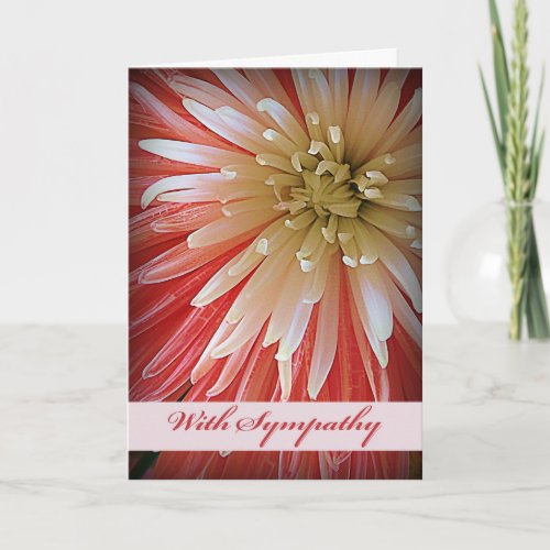 With Sympathy Fuji Mum Pink and White Shades Card