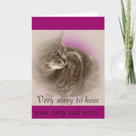 With Sympathy (loss of a cat) Card | Zazzle.com