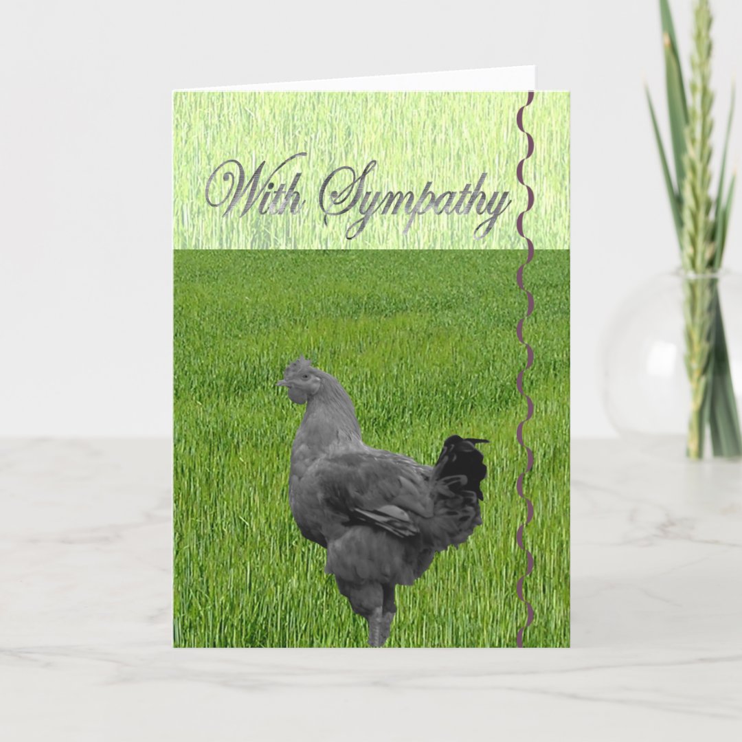 With Sympathy (loss of a chicken) Card Zazzle