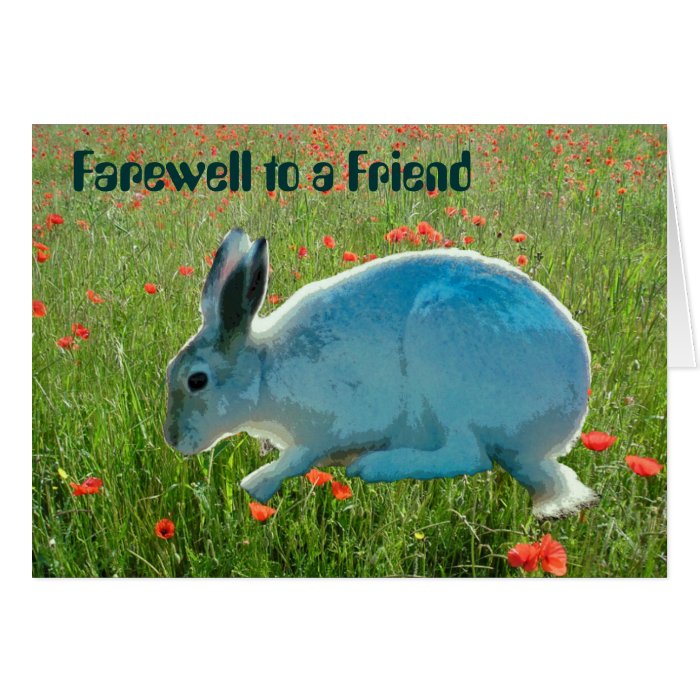 With Sympathy (loss of a rabbit) Card