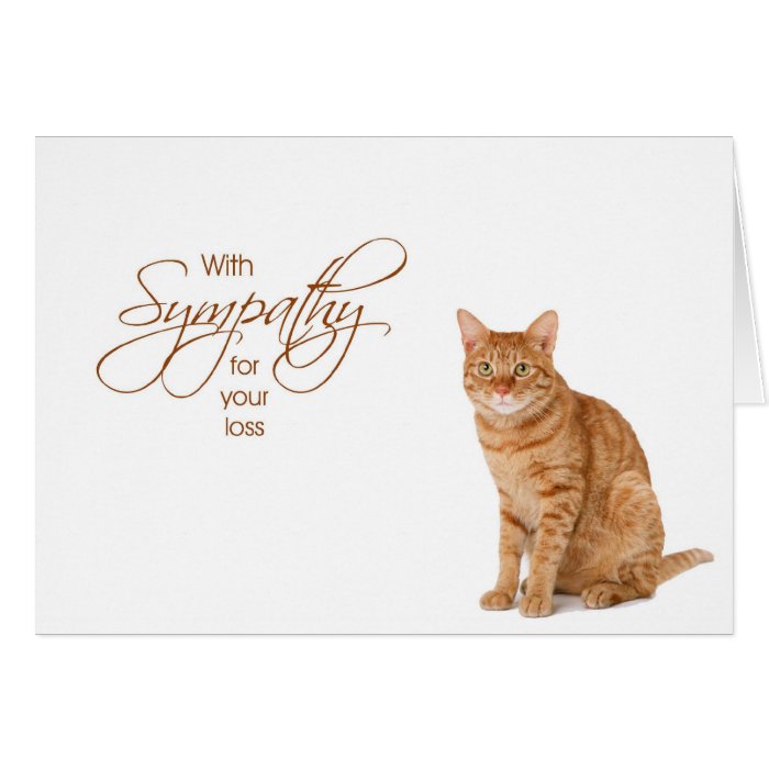 With Sympathy - Loss Of Cat Card 