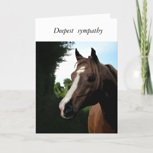 With Sympathy loss of horse Card