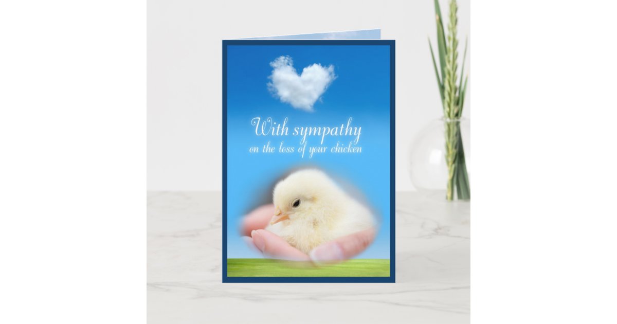 With sympathy on the loss of your chicken card Zazzle