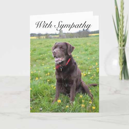 With Sympathy Pet Dog card