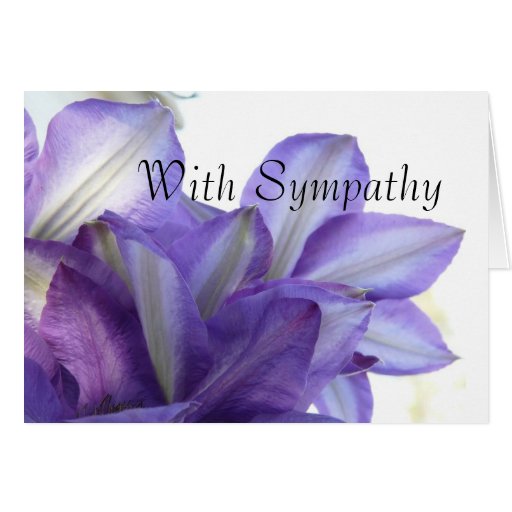 With Sympathy-Purple Clematis Floral Card | Zazzle